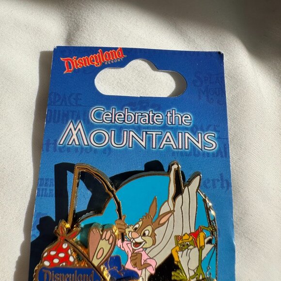 NWT Disneyland Celebrate the Mountains Splash Mountain Brer Rabbit Brer Frog Pin - Picture 6 of 15
